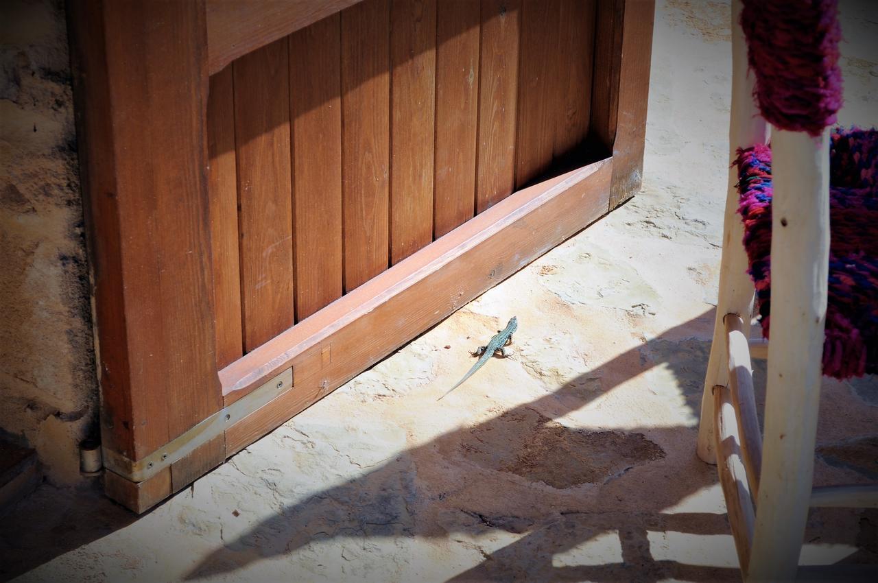 Siamoformentera Bella Vila San Francisco Javier Exterior foto